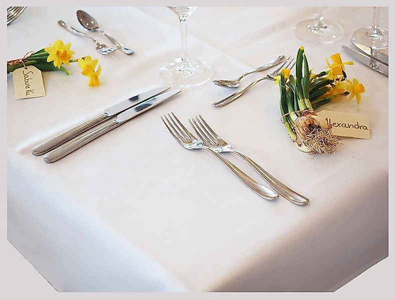 Libusch® Tischdecke Jatta weiß fleckabweisend BÜGELFREI Lotuseffekt pflegel günstig online kaufen