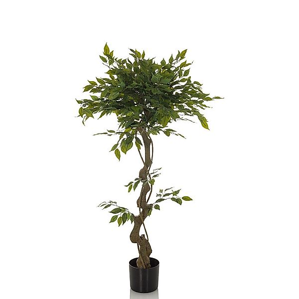 Kunstpflanze Kunstpflanze FICUS I Kunststoff, Stoff günstig online kaufen