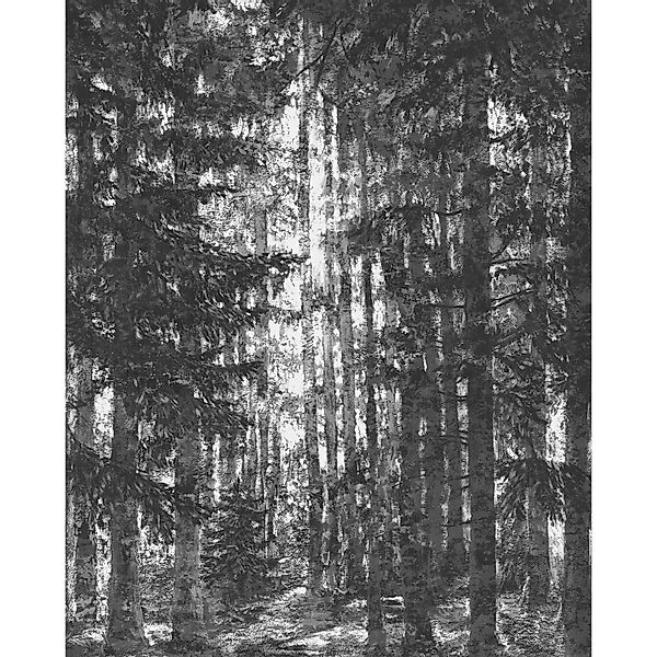 Komar Fototapete Lustres Lapland 200 cm x 250 cm günstig online kaufen
