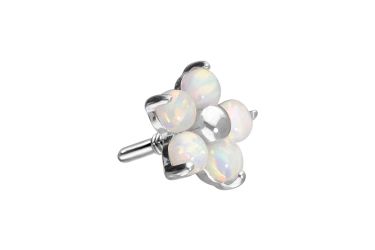 PIERCINGLINE Piercing-Set 14 Karat Gold Schraubaufsatz günstig online kaufen