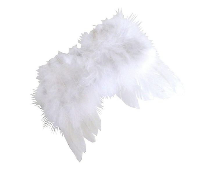 440s Dekoobjekt 440s Engelsflügel weiß am Clip ca. 13cm H (Stück) günstig online kaufen
