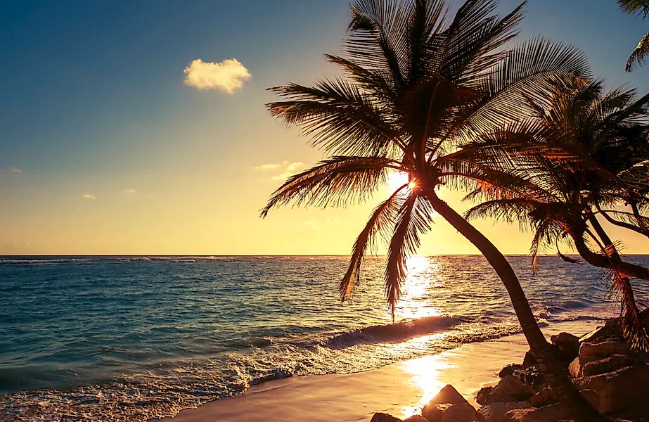 Papermoon Fototapete "PALMEN-STRAND SONNENUNTERGANG NATUR MEER LANDSCHAFT X günstig online kaufen