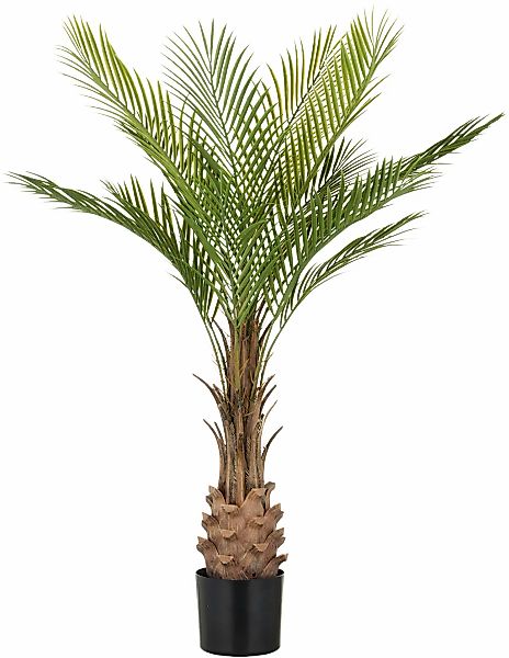 Creativ green Kunstpalme "Phönixpalme", mit naturgetreuen Palmwedeln günstig online kaufen