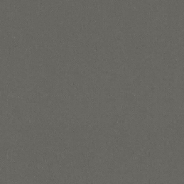 Bricoflor anthrazit Tapete Einfarbig Büro und Wohnzimmer Vliestapete Dunkel günstig online kaufen