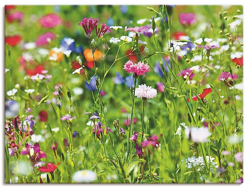 Artland "Blumenwiese I" Blumenwiese 1 Stk. tlg. als Leinwandbild, Poster in günstig online kaufen