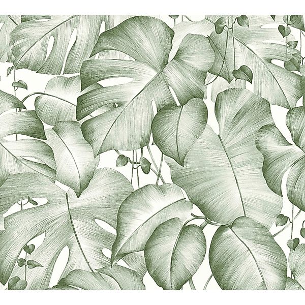Bricoflor Selbstklebende Tapete mit Palmenblättern Monstera Tapete als Pane günstig online kaufen