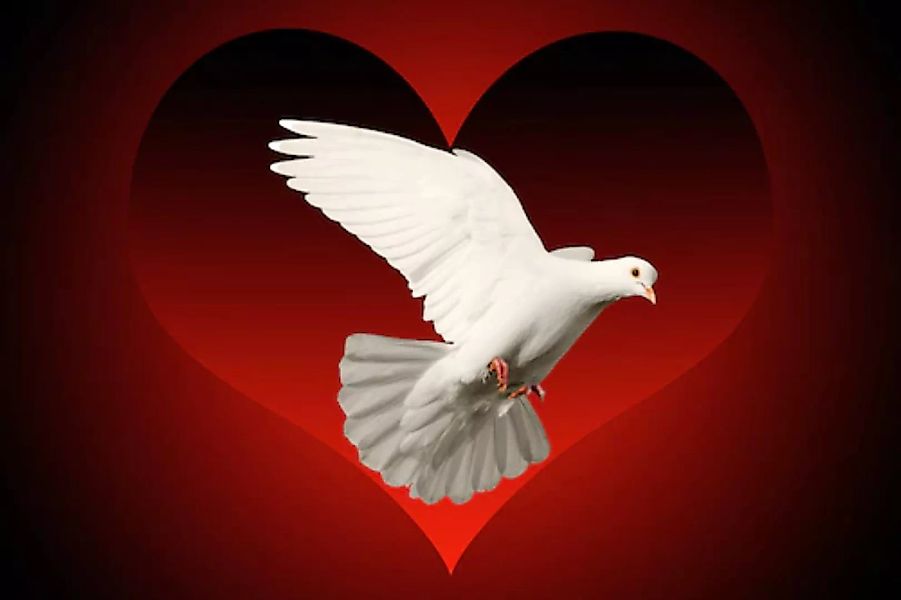 Papermoon Fototapete »Vogel mit Herz« günstig online kaufen