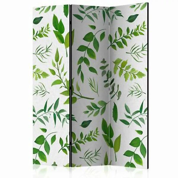 artgeist Paravent Green Twigs [Room Dividers] mehrfarbig Gr. 135 x 172 günstig online kaufen