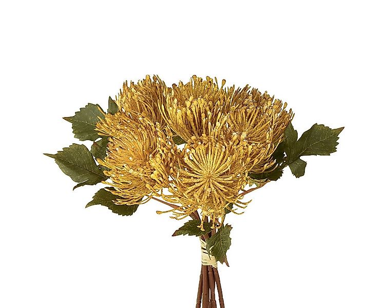 Kunstblume Protea künstlich Nadelkissen Gelb 30cm Set 6 Stk Dekoblume, Vian günstig online kaufen