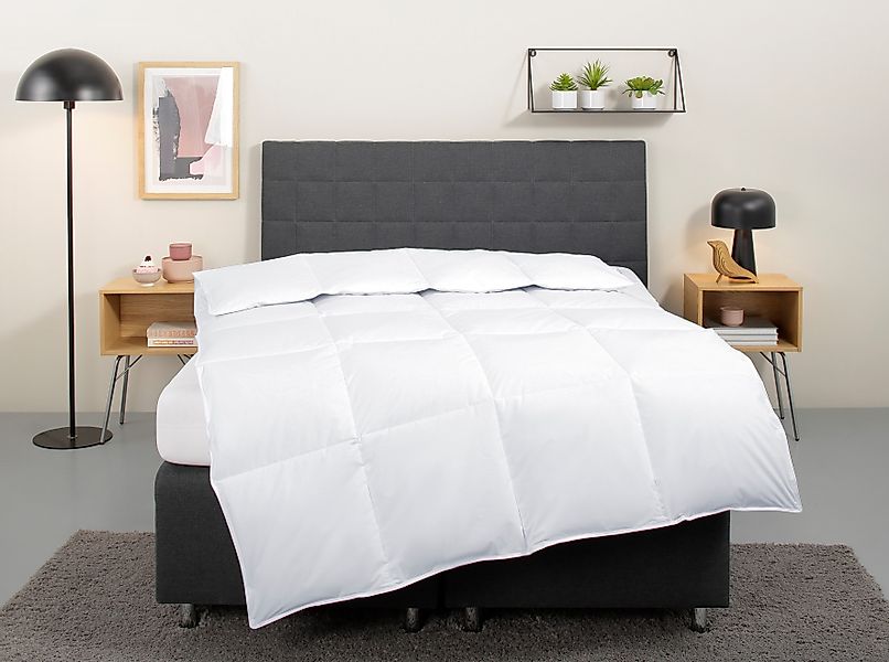 my home Daunenbettdecke »Cyra, Bettdecke 135x200 cm, 155x220 cm«, warm, Fül günstig online kaufen