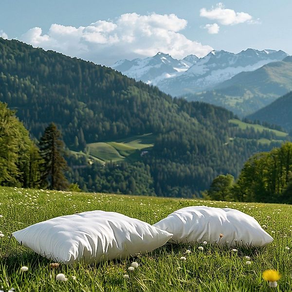 Dormisette Kissenbezüge Milbenschutzbezug für Kopfkissen günstig online kaufen