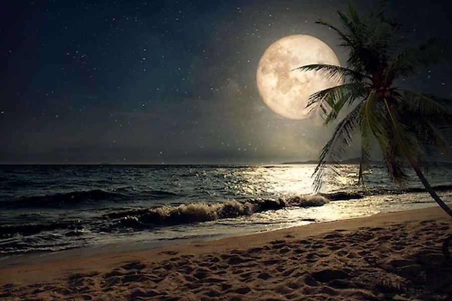 Papermoon Fototapete STRAND-NATUR PALMEN MEER DÜNEN günstig online kaufen