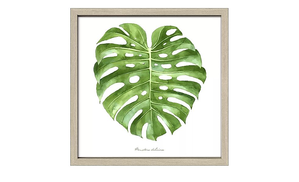 Gerahmtes Bild 30x30 cm  Green Leaf II - 30 cm - 30 cm - Sconto günstig online kaufen