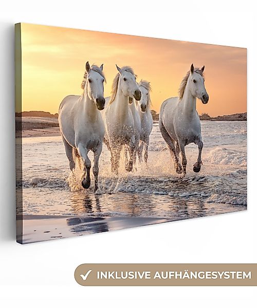 OneMillionCanvasses® Leinwandbild Pferde - Sonne - günstig online kaufen