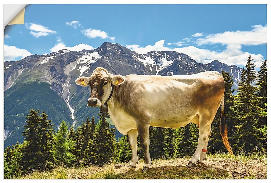 Artland Wandbild »Bergkuh in den Alpen im Sommer«, Haustiere, (1 St.) günstig online kaufen