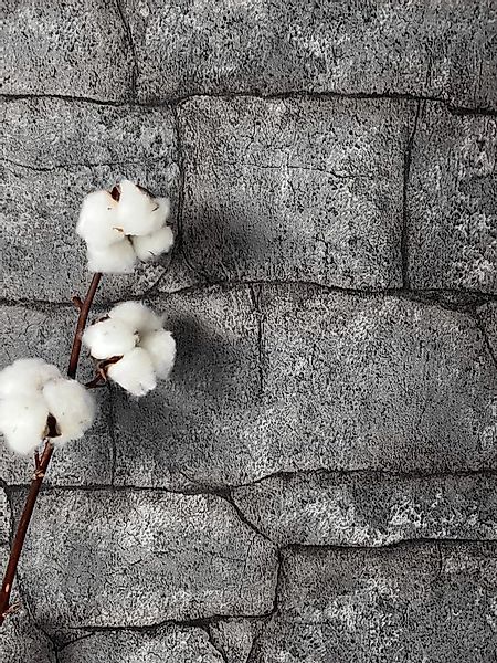 Newroom Vliestapete, Dunkelgrau Tapete Modern Stein - Steintapete Steinopti günstig online kaufen