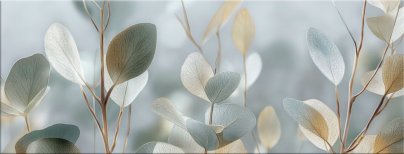 artissimo Glasbild Bild aus Glas 80x30 cm / Wandbild Querformat / Wanddeko günstig online kaufen