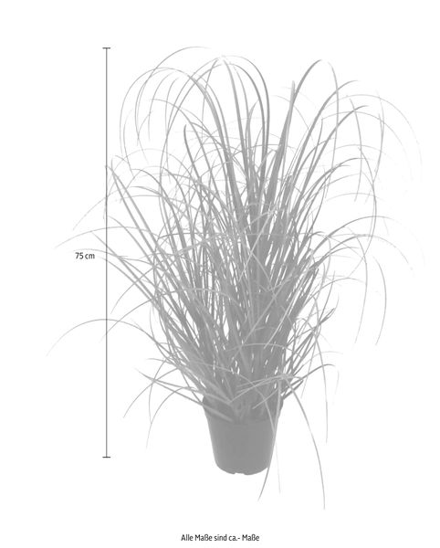 Kunstgras Gras, Creativ green, Höhe 75 günstig online kaufen