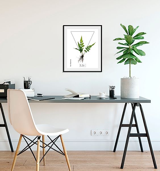 queence Bild »Pteridophyta« Pflanzen   Pflanzenbilder   Schriftzug 1 Stk. t günstig online kaufen