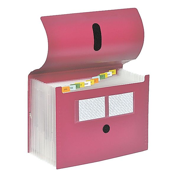 FOLDERSYS Fächermappe, 12 Fächer (dehnbar) günstig online kaufen