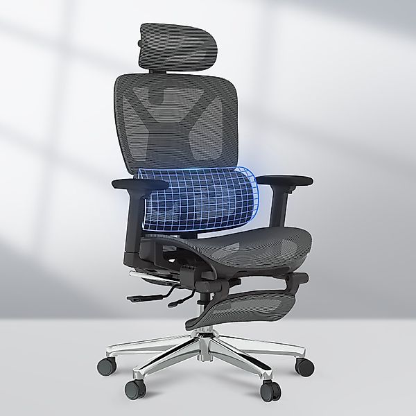 FLEXISPOT Bürostuhl Schreibtischstuhl Premium Ergonomischer (Rückenlehne günstig online kaufen