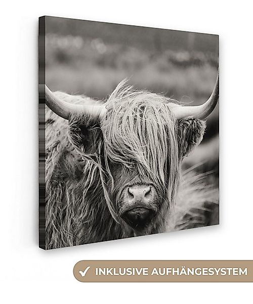 OneMillionCanvasses® Leinwandbild Schottischer Highlander - Kuh - Tiere - S günstig online kaufen
