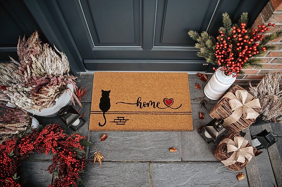 HANSE Home Fußmatte "Kokos Cat Home, Türmatte" rechteckig 15 mm Höhe Schmut günstig online kaufen