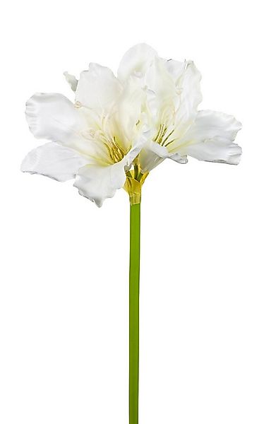 Kunstblume Amaryllis 65cm HB Dekoblumen künstliche Blumen Ritterstern, Seid günstig online kaufen