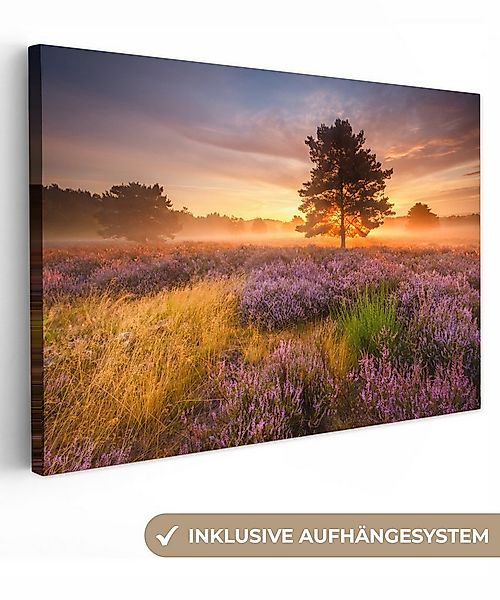 OneMillionCanvasses® Leinwandbild Heidelandschaft mit einem Baum, Fotodruck günstig online kaufen