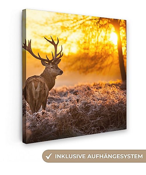 OneMillionCanvasses® Leinwandbild Hirsche - Tiere - Sonnenuntergang - Winte günstig online kaufen