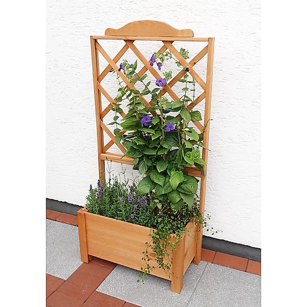 Rankkasten Botanica 69 cm x 140 cm günstig online kaufen