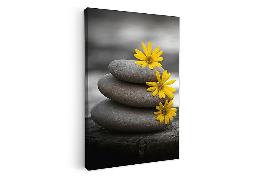 OneMillionCanvasses® Leinwandbild Zen-Steine - Blumen - Gelb - Natur, Fotod günstig online kaufen