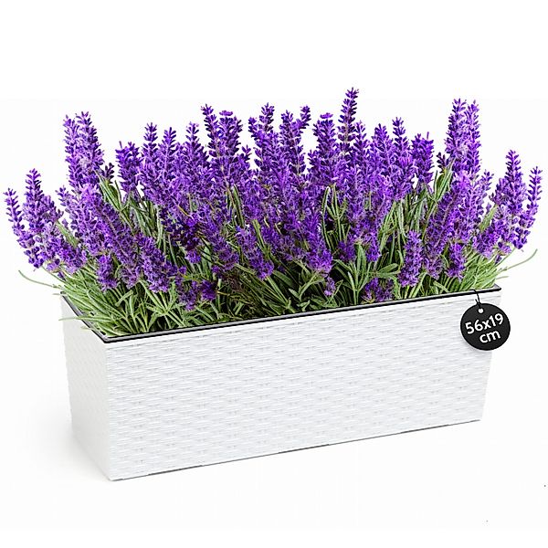 KONZEPT Balkonkasten Hochwertige Blumenkasten Rattan-Optikin, rechteckig günstig online kaufen