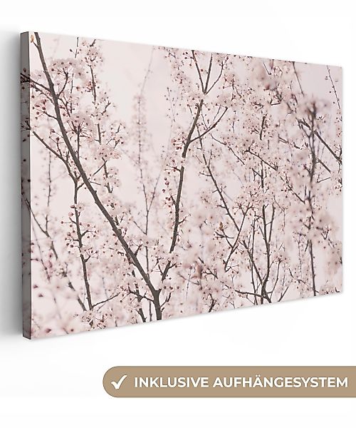 OneMillionCanvasses® Leinwandbild Blüte - Bäume - günstig online kaufen