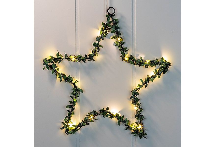 Spetebo Dekostern LED Fenster Silhouette Stern 30 cm mit Buchsbaum, 1 St., günstig online kaufen