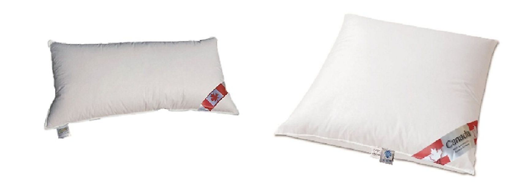 Canada Daunenkissen Daunenkissen Plus Extra canadische Daunen, Bezug: 100% günstig online kaufen