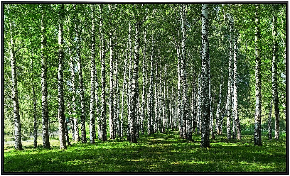 Papermoon Infrarotheizung »Birkenwald« günstig online kaufen