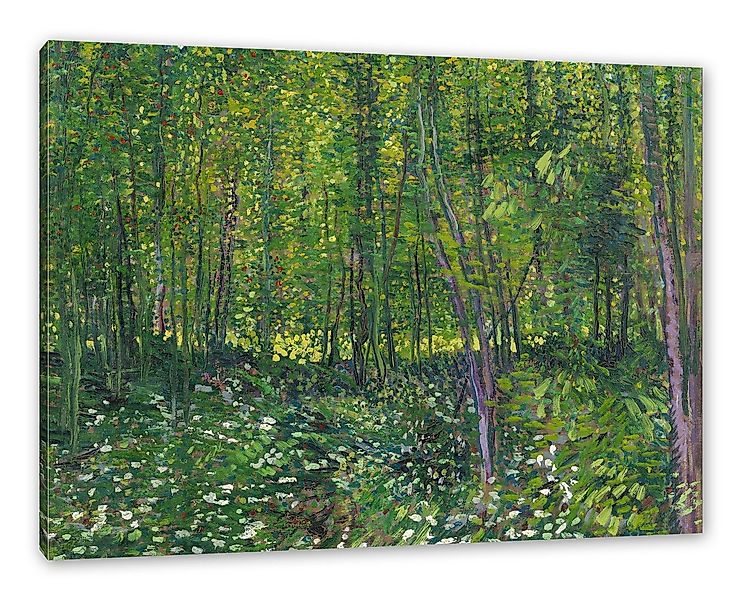 Pixxprint Leinwandbild Vincent Van Gogh - Bäume und Unterholz, Vincent Van günstig online kaufen