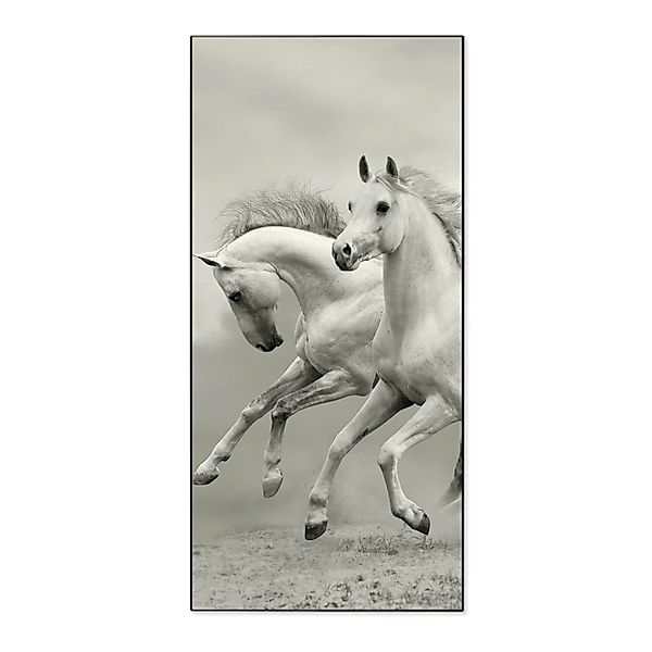 Banjado Magnettafel 37x78cm Magnetwand  Schwarz Aus Metall Magnetpinnwand P günstig online kaufen