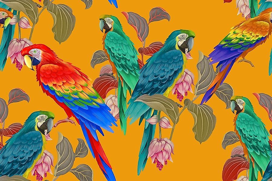 Papermoon Fototapete "BLUMEN ABSTRAKT-PAPGEIEN MUSTER DESIGN VOGEL BLUMEN" günstig online kaufen