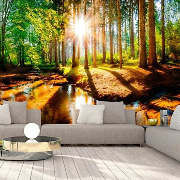 artgeist Fototapete Marvelous Forest mehrfarbig Gr. 350 x 245 günstig online kaufen