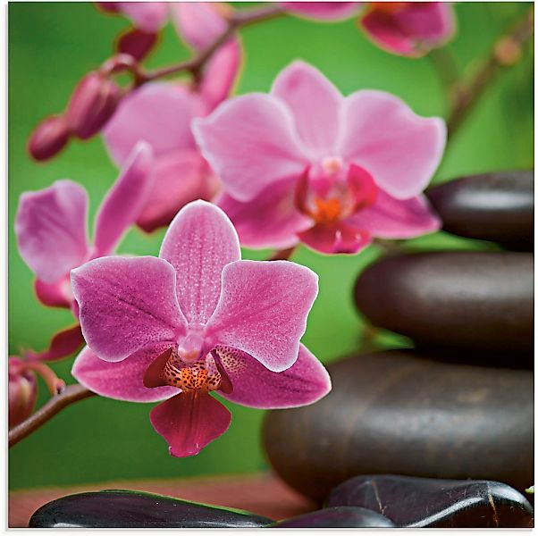 Artland "Zen Basaltsteine und Bambus auf Holz" Zen 1 Stk. tlg. in verschied günstig online kaufen