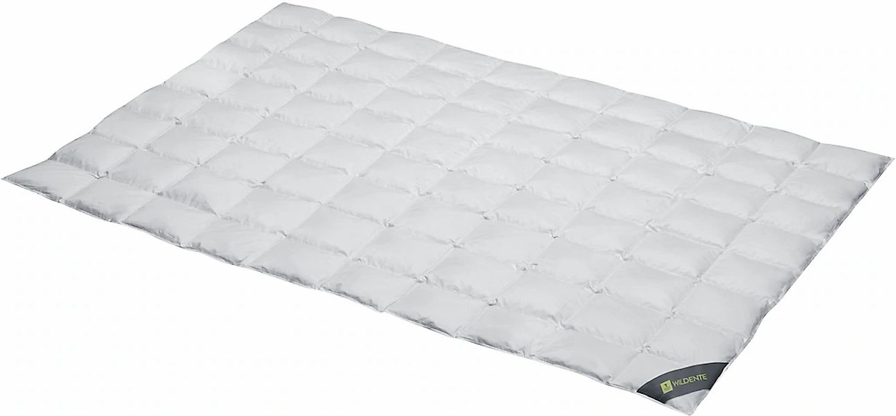 SPESSARTTRAUM Daunenbettdecke "Wildente Bettdecken 135x200cm & weitere Größ günstig online kaufen