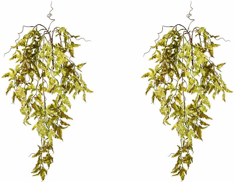 Creativ green Kunstranke "Lygodiumhänger" günstig online kaufen