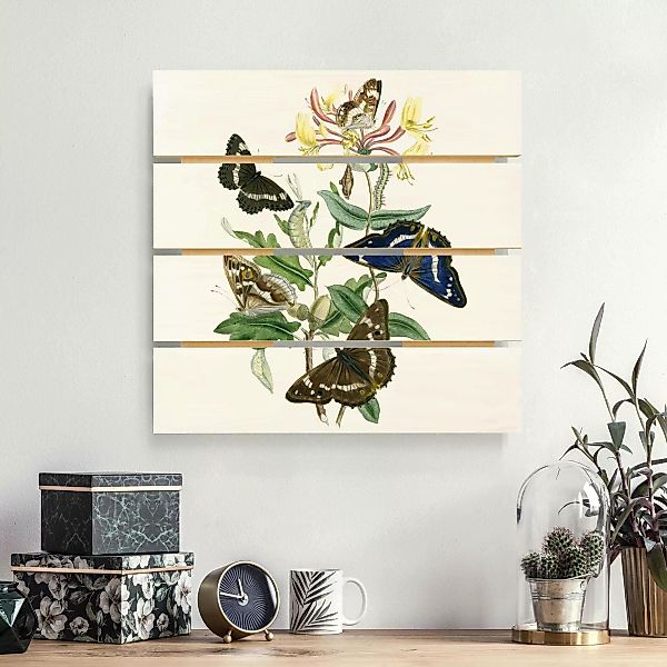 Holzbild Plankenoptik Blumen - Quadrat Britische Schmetterlinge IV günstig online kaufen