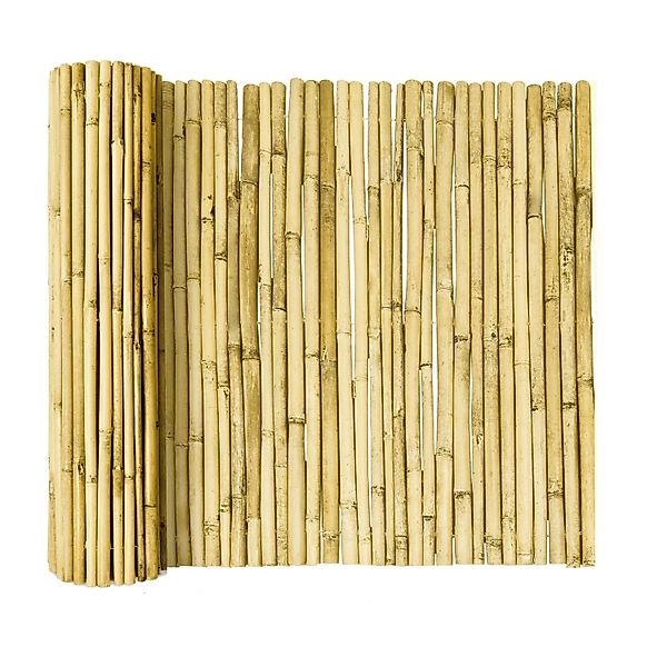 Sol Royal SolVision B99 Sichtschutzzaun 160x250cm Bambus Hell günstig online kaufen