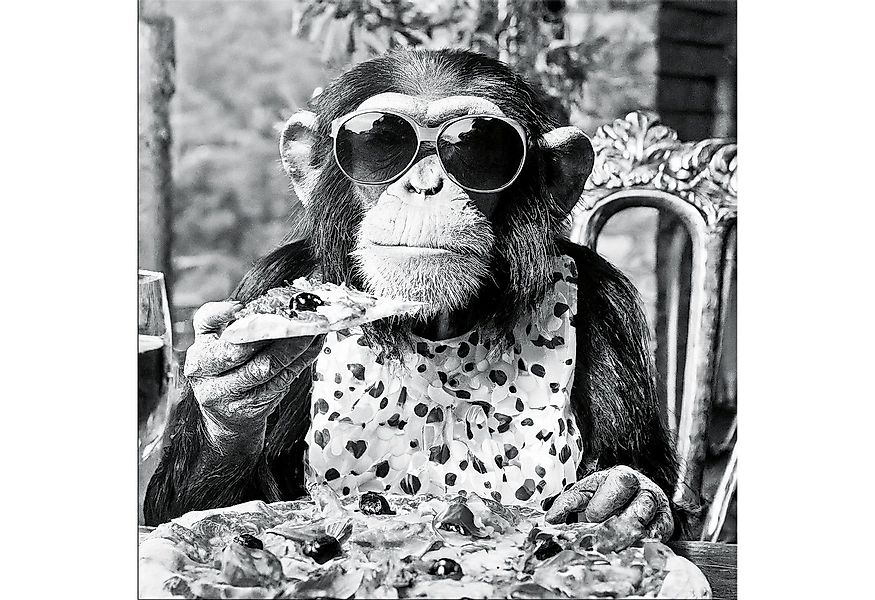 artissimo Glasbild Glasbild 50x50cm Bild aus Glas lustig, witzige Tiere Küc günstig online kaufen