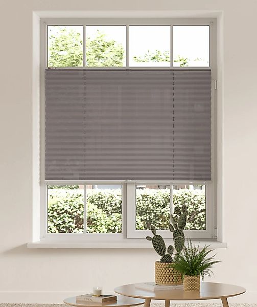 my home Plissee "LAHOLM" Lichtschutz ohne Bohren verspannt Fixmaß, Bestsell günstig online kaufen