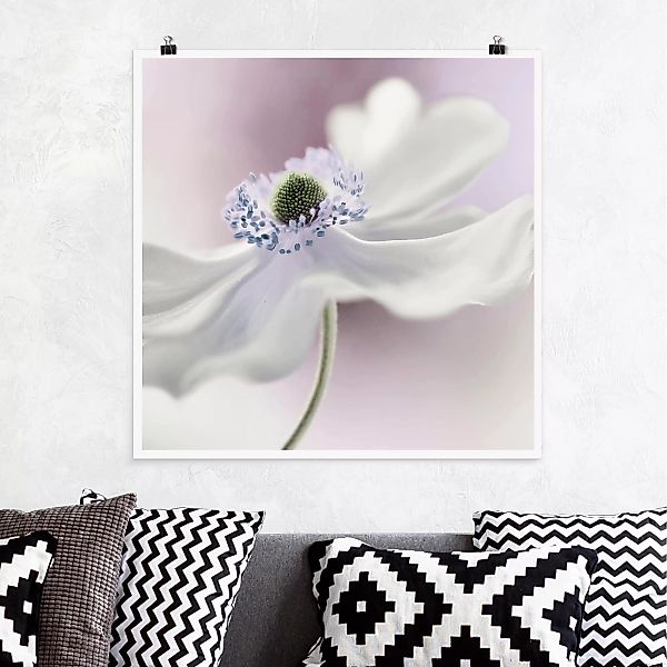 Poster Blumen - Quadrat Anemonenbrise günstig online kaufen