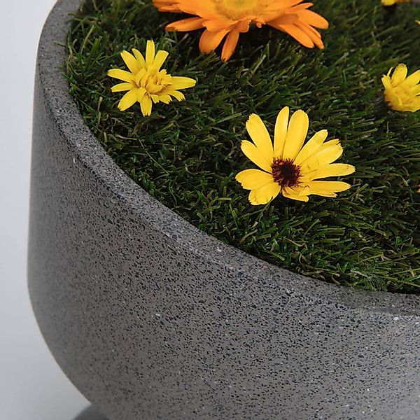 Paulmann Gartenleuchte "Concrea IP65 210mm 3000K 5,5W 350lm 230V schwarzer günstig online kaufen